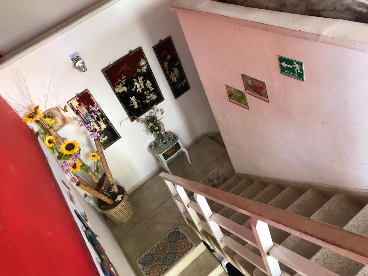 Posada Nativa Trinsan Campestre San Andrés Eksteriør bilde